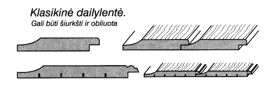 klasikine dailylente 904x291