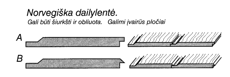 norvegiskos dailylentes 904x304